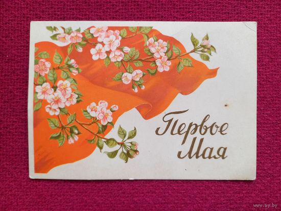 1 Мая! Сазонова 1959 г. Чистая.