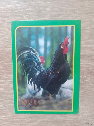 Календарик 1993