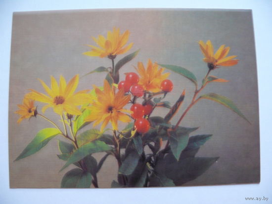 Савалов Е.(фото), Композиция из цветов, 1985, чистая.