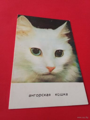 Календарик 1993г.