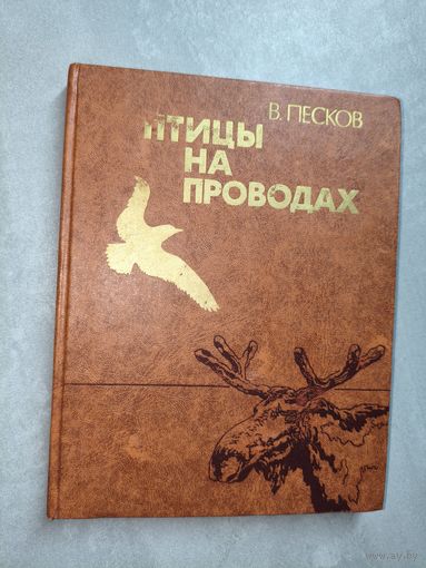 Василий Песков "Птицы на проводах"