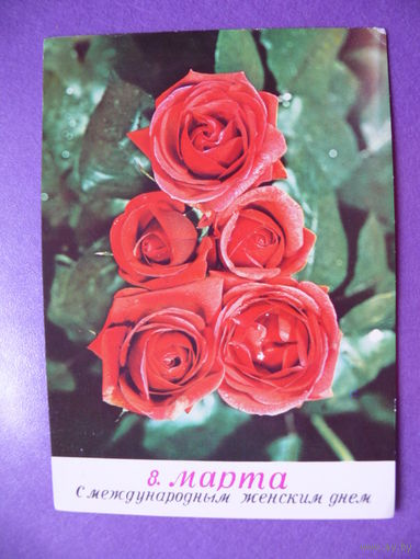 Открытка ГДР, 8 Марта, 1978, подписана.