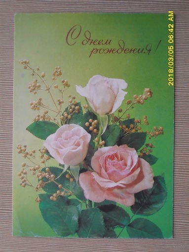 ЧИСТАЯ ПОЧТОВАЯ ОТКРЫТКА "С ДНЕМ РОЖДЕНИЯ"1992г.фото.И.ДЕРГИЛЕВА.РОЗЫ.ФЛО РА.ЦВЕТЫ.ГЕРБ ПОГОНЯ НА СТАНДАРТНЫХ МАРКАХ.