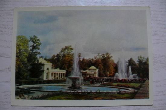 Петродворец. Фонтаны; 1964, чистая (размер 10*15).