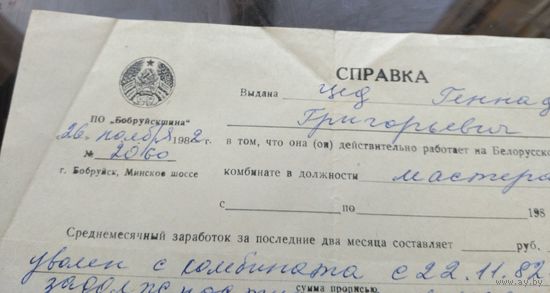 Справка Бобруйскшина 1982 год