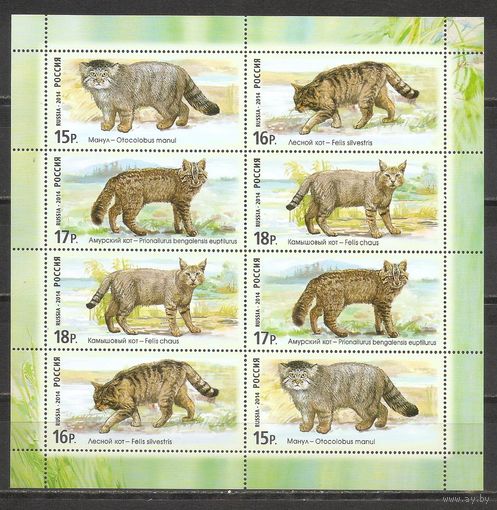 ФФ1 Россия 2014 Дикие кошки