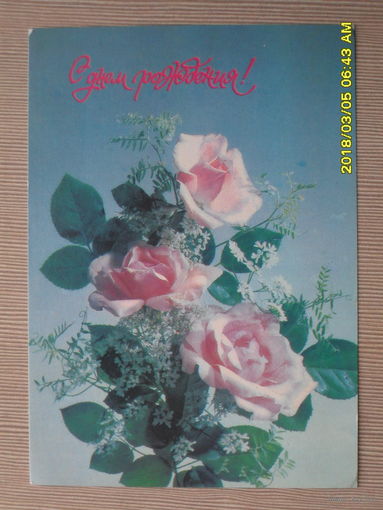 ЧИСТАЯ ПОЧТОВАЯ ОТКРЫТКА "С ДНЕМ РОЖДЕНИЯ"1991г.фото.И.ДЕРГИЛЕВА.РОЗЫ.ФЛО РА.ЦВЕТЫ.