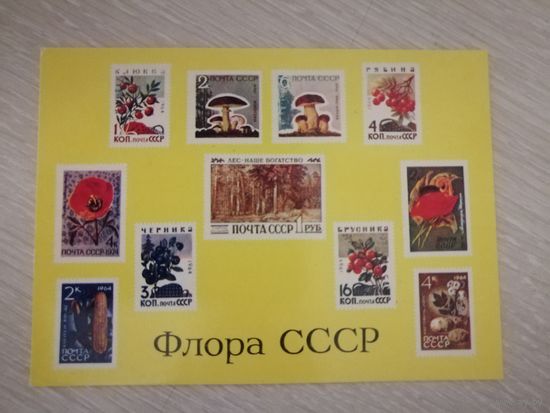 Всесоюзное общество филателистов. ВОФ. "Флора СССР". 1975г. Цена за 1шт.