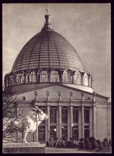 1955 год Москва Павильон Механизации