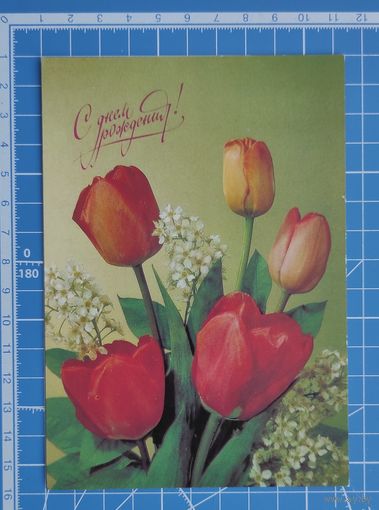 Почтовая карточка от 27.08.1990. "С днём рождения!". Фото И. Дергилева.