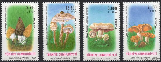 Турция 1994. Флора Грибы 4 марки (3032)
