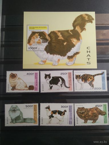 Гвинея 1996 г. Кошки.