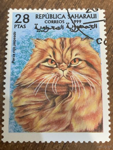 Сахара 1999. Породы кошек. Persa rojo jaspeado. Марка из серии
