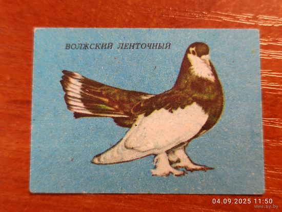Спичечная этикетка Волжский ленточный голубь