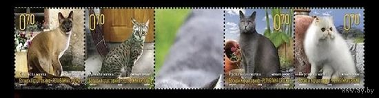 2009 Босния и Герцеговина (серб.) 470-473 Фауна. Кошки **