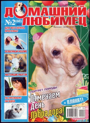 Домашний любимец #60