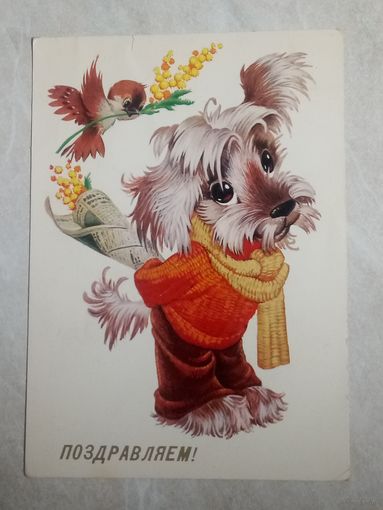 Открытка. Поздравляем. Художник В. Четвериков. 1981 год.