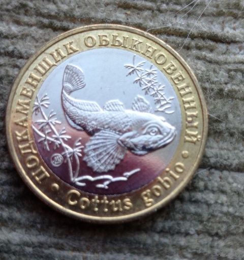Werty71 Жетон ММД 5 червонцев 2020  Красная книга СССР Рыба биметалл Подкаменщик обыкновенный