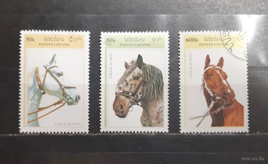 Лаос. 1996 год. Фауна. Лошади (1137)
