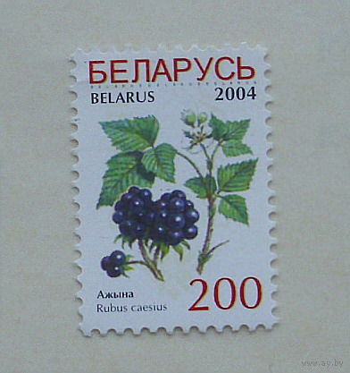 Беларусь. Стандарт. ( 1 марка ) 2004 года. 2-5.