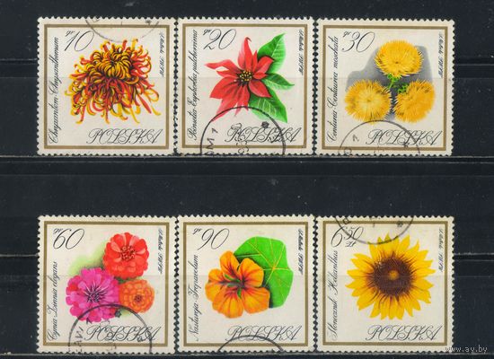 Польша ПНР 1966 Цветы #1696-9,1701,1703