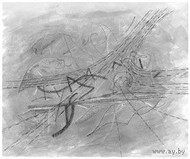 Light Collapse / Bidoche Musique "Light Collapse & Bidoche Musique" CDr