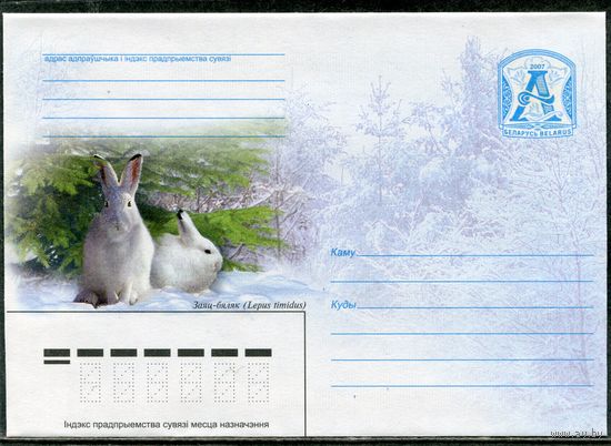Беларусь 2007. ХМК. Конверт. Заяц - бяляк