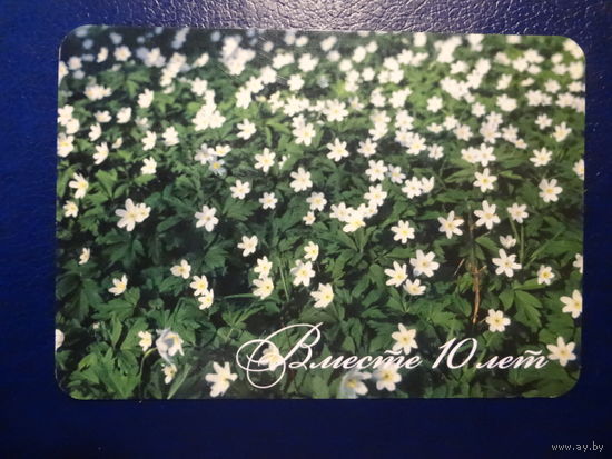 Календарик 2006 г. Славнефтебанк. Вместе 10 лет.