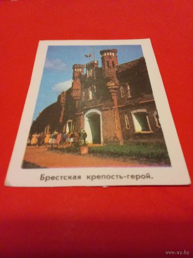 Календарик 1981г.