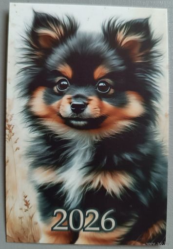 Собака.  Календарик, 2026