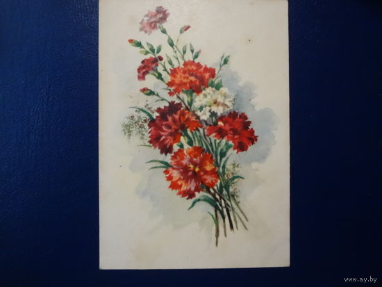 Гвоздики.  1959 г.