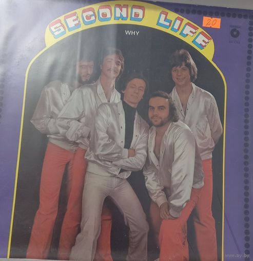 Second Life / Why