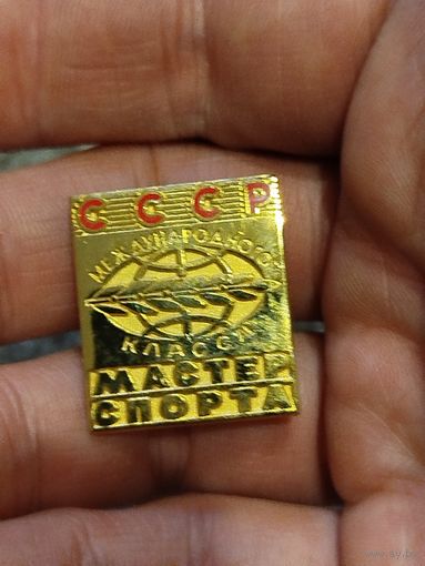 Мастер спорта международного класса,копия
