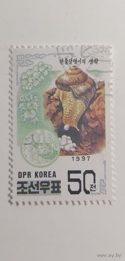 Корея 1997. Азиатская улитка
