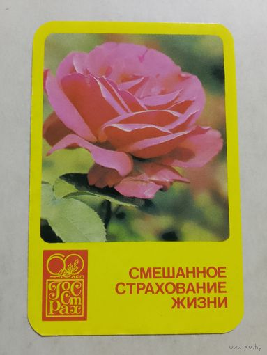 Карманный календарик. Страхование. 1981 год