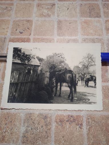 Фото кавалерия