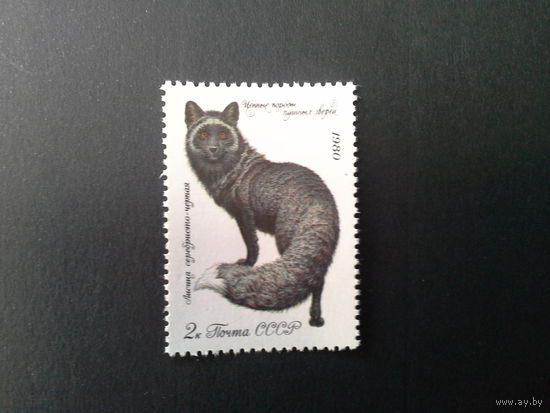 Ссср 1980. Лисица.