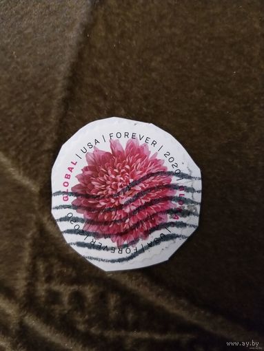 2020 США хризантема флора цветы выпускалась одиночкой самоклейка (5-3)