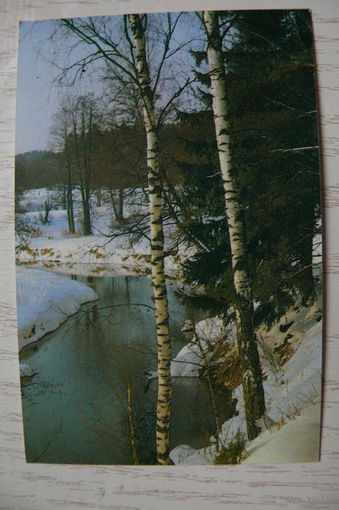 Календарик, 1989, Природа.
