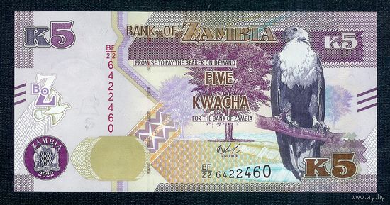 Замбия 5 квача 2022 год, UNC