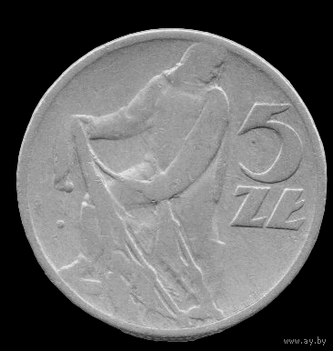 Польша. 5 злотых  1959