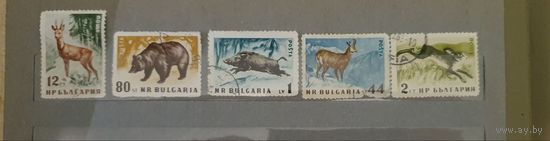 Болгария дикие животные 5шт