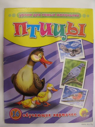 Птицы. 16 обучающих карточек.