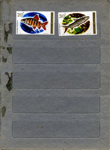 РУАНДА,   РЫБЫ,  ,  2м гашен