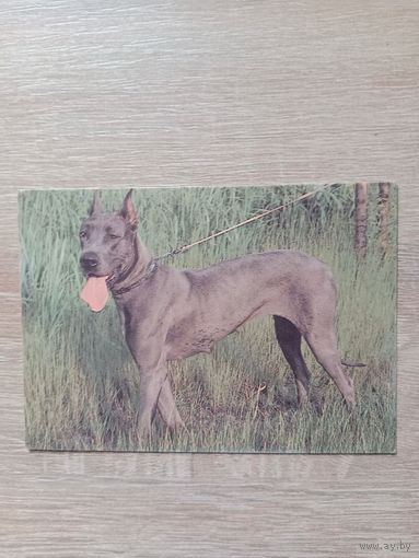 Календарик 1993