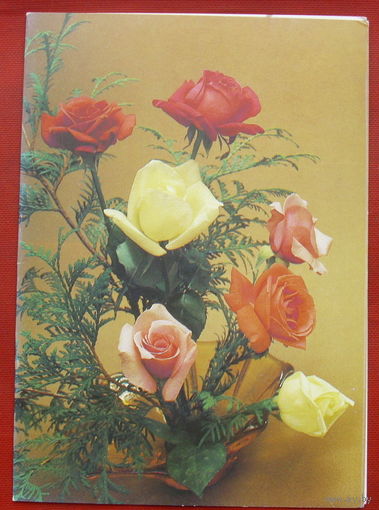 Поздравляем! Чистая. Двойная. 1988 года. Фото Бабайлова. *298.