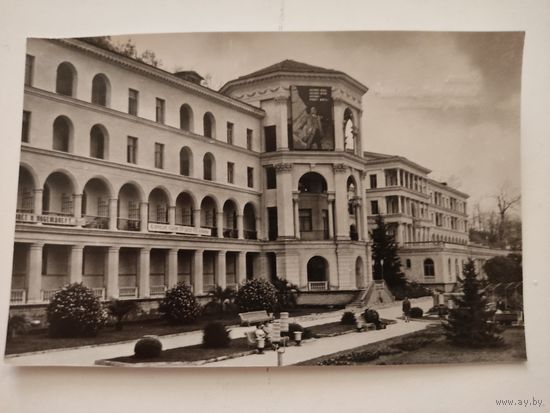 Чистая открытка "Хоста. Санаторий "Волна", фото В.Соловьева, 1975г.