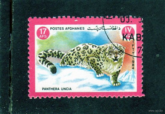 Афганистан.Ми-1346. Снежный барс (Panthera uncia). Серия: Фауна. 1984.
