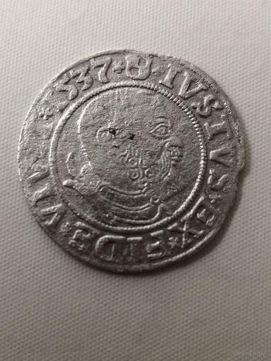 1 грош 1537 год.  Германия. Пруссия (герцогство). Кенигсберг.