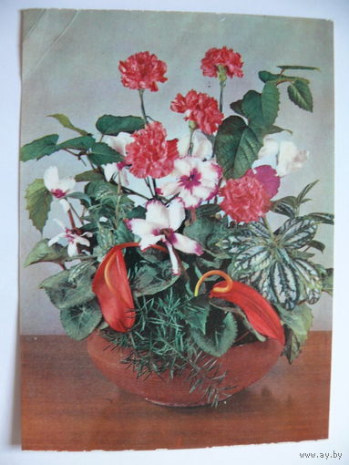 Открытка поздравительная, Цветы (1), 1969, ГДР, подписана.